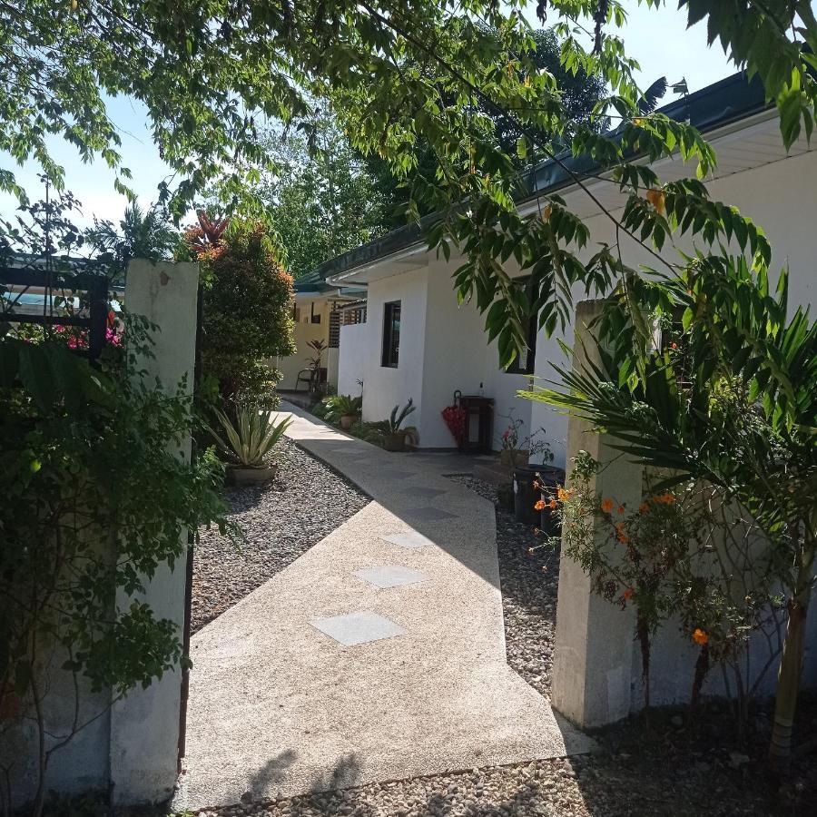 Midnite Inn Panglao Extérieur photo